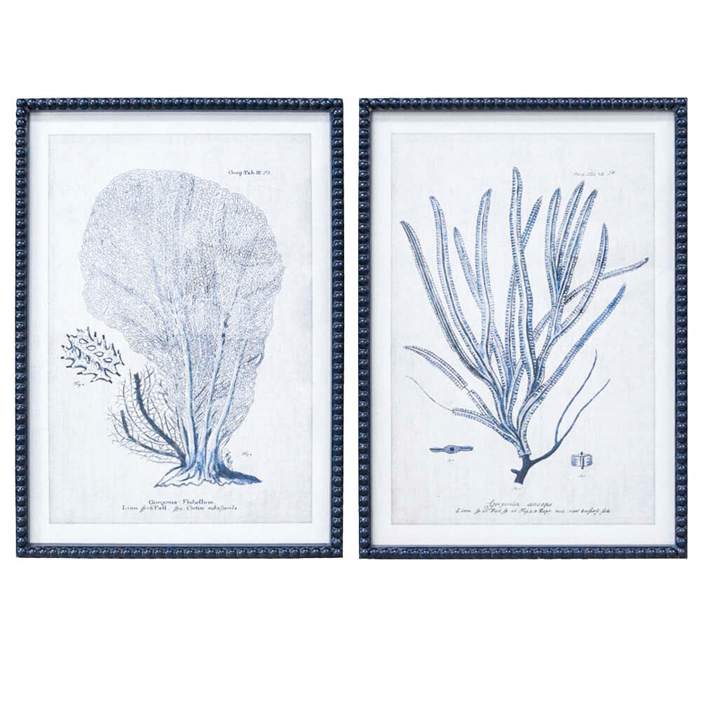 Framed Print Asstd Coral Navy