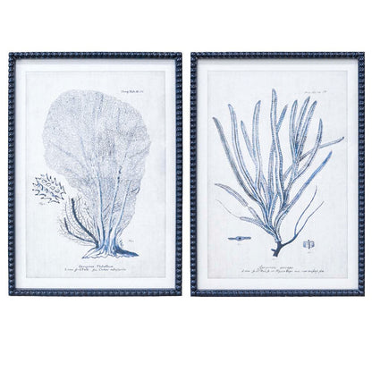 Framed Print Asstd Coral Navy
