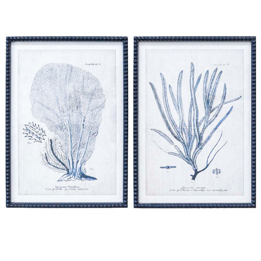 Framed Print Asstd Coral Navy