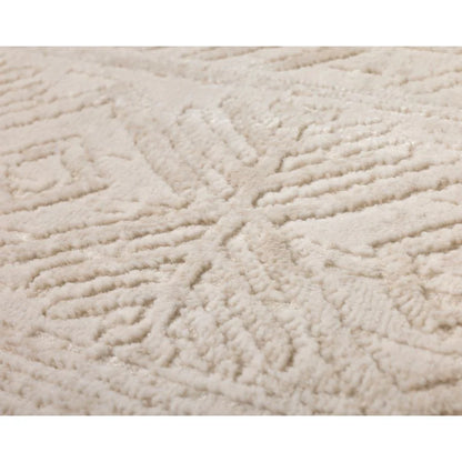 Erika Beige Distressed Rug