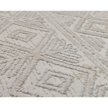 Erika Grey Distressed Rug 160cm x 230cm