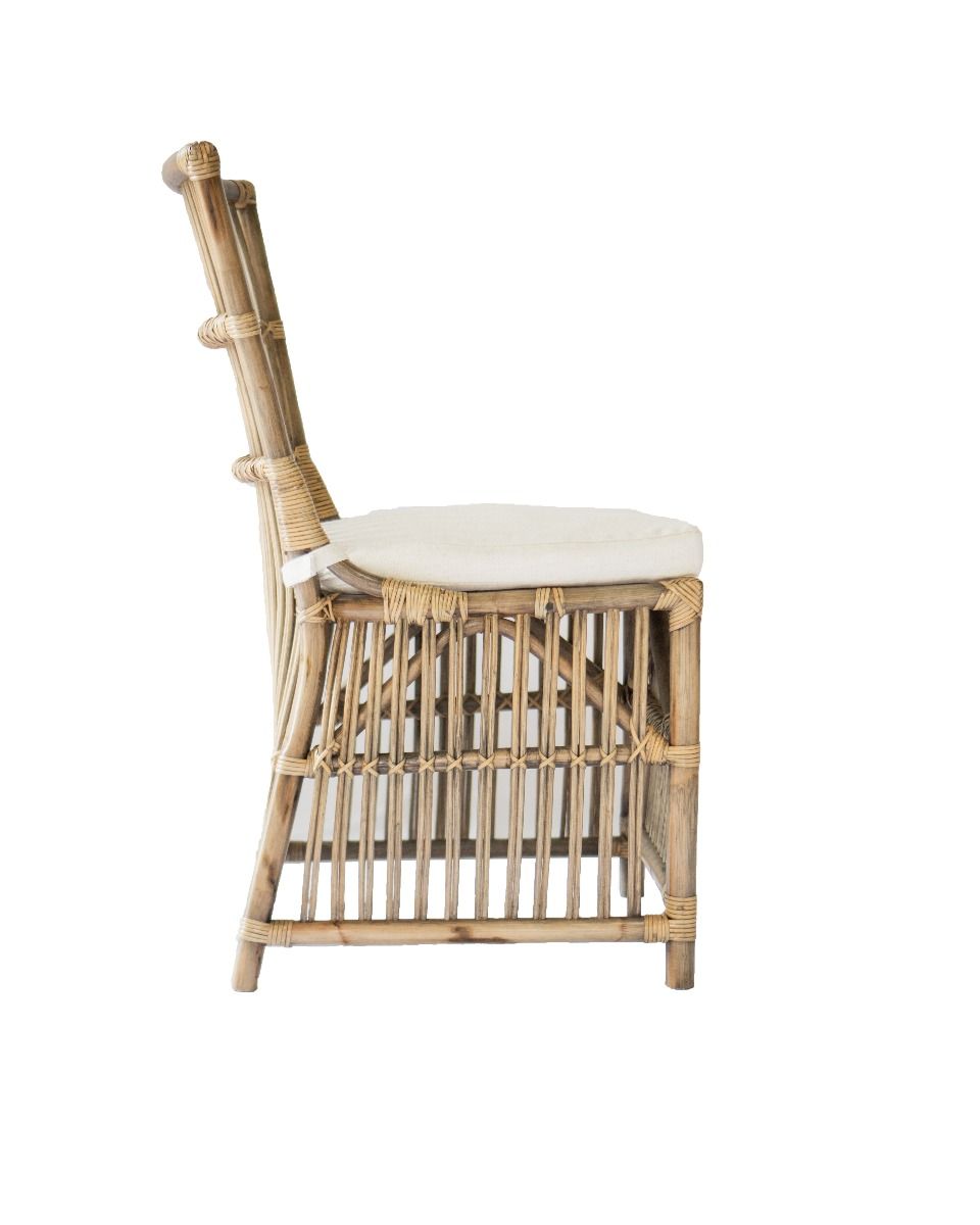 Sawtell Rattan Dining Chair - Honey