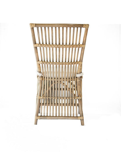 Sawtell Rattan Dining Chair - Honey